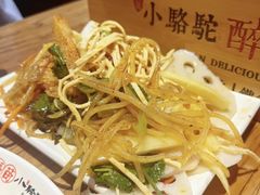 -福苗小骆驼烧烤(莲湖路店)