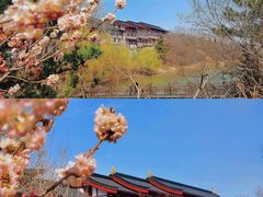 -青岛大珠山景区