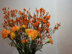 -双季花艺园艺市场(浦东店)