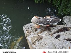 -成都欢乐谷