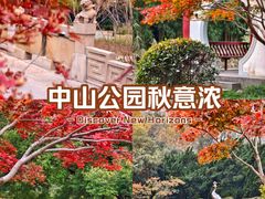 -中山公园