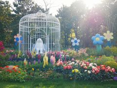 -上海共青森林公园