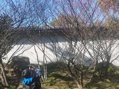 -南京市江宁方山