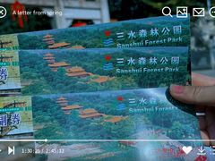 -三水森林公园