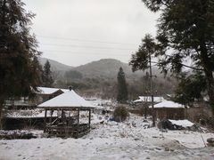 -武陵山森林公园