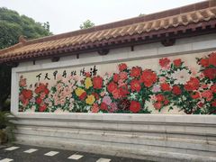 -神州牡丹园