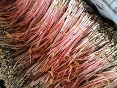 -浙江大学医学院附属第二医院(解放路院区)