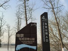 -鱼嘴湿地公园