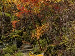 -叠溪松坪沟景区