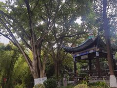 -北湖公园