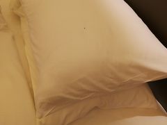 -舟山希尔顿酒店