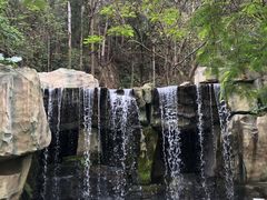 -顺峰山公园