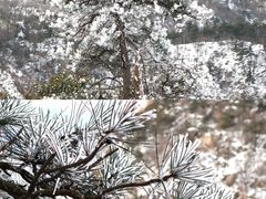 -沂蒙山旅游区云蒙景区(蒙山国家森林公园)