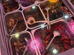 -红灯笼龙凤饭店(宁波老字号店)