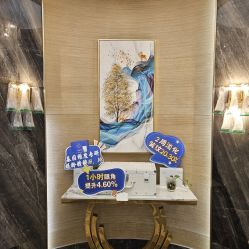 -雅曼妮spa美容养生