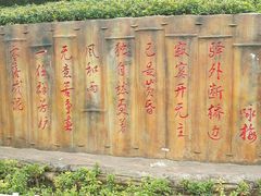-重庆彩云湖湿地公园