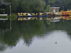 -泰州凤城河风景区-泰山公园