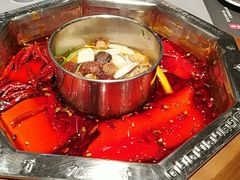 -蜀九香火锅(九眼桥店)