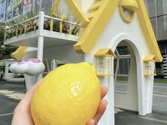 -东莞松山湖万象汇