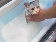 -PETKIT小佩宠物·低压洗护(国顺东路店)