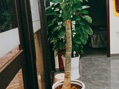 -张钰强中医正骨推拿连锁(唐家人才公寓店)
