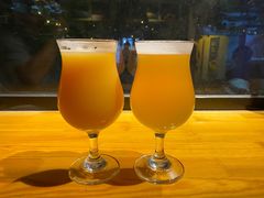 -ZING鲸鱼啤酒(葡萄院店)