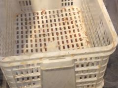 -庞家烧烤客栈(炮台山店)