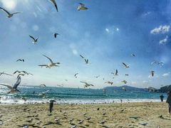 -海云台海滩