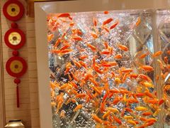 -永利澳门酒店