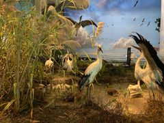 -中国湿地博物馆