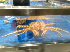 -盒马鲜生(和谐广场店)