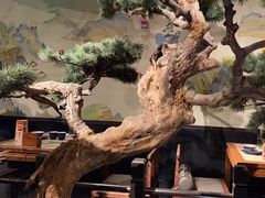 -绿茶餐厅(北京凤凰汇店)