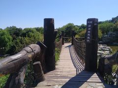 -北京西山国家森林公园