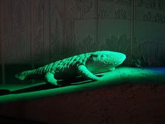 -世界恐龙谷景区