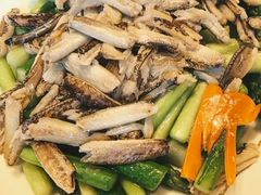 -福玺荟(外滩罗斯福店)