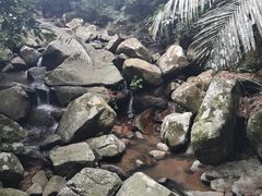 -呀诺达热带雨林