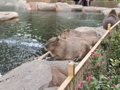 -北京野生动物园