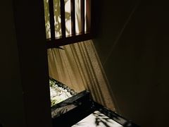 -四川宋瓷博物馆