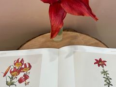 -中国农业博物馆