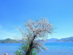 -丽江泸沽湖景区