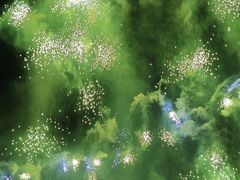 -南宁花花大世界景区