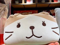 -九木杂物社(东方宝泰店)
