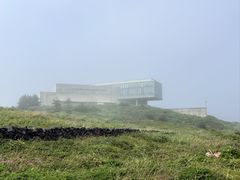 -涉地可支