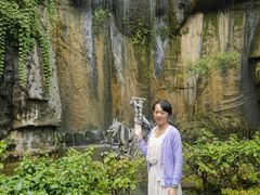 -西双版纳原始森林公园