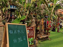 -呀路古热带植物园