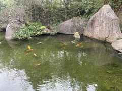 -湖南别院·美学庭院餐厅(惠阳店)