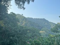-广州市白云山风景名胜区