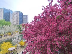 -元大都城垣遗址公园
