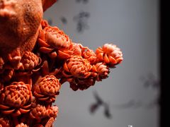 -绮丽珊瑚(台北101旗舰门市店)