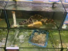 水产区-龙湾海鲜渔村餐厅(亚龙湾店)
